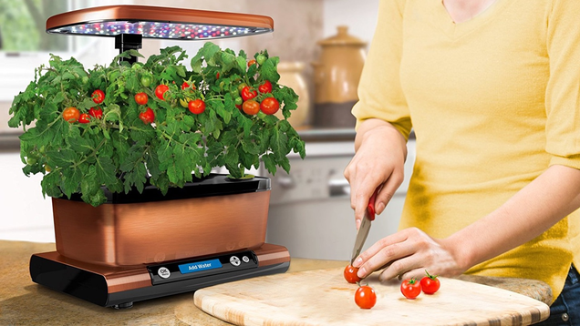 AeroGarden Harvest Elite with Gourmet Herb Seed Pod Kit | $120 | Amazon | All four colors available